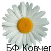 Подробнее о статье Приглашаем принять участие в благотворительном празднике «Белый цветок»