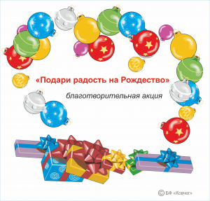 Подробнее о статье Благотворительная акция «Подари радость на Рождество»