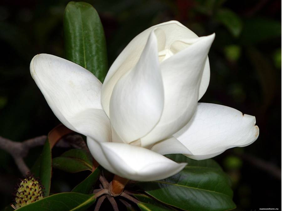 Вы сейчас просматриваете Завершился благотворительный праздник «Белый цветок»