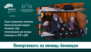 Подробнее о статье Помощь вынужденным переселенцам и беженцам из ЛНР и ДНР