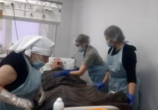 5267000051459285659 (1)